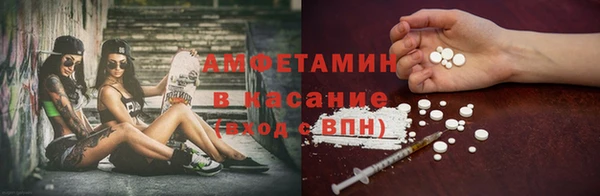 гашик Алексин
