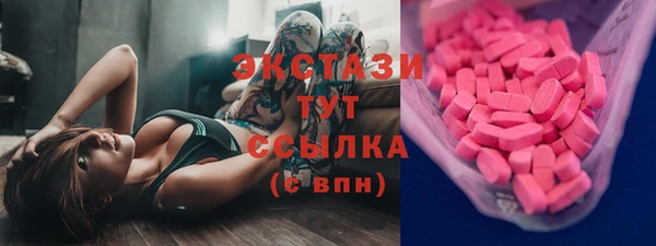 гашик Алексин