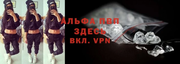 гашик Алексин