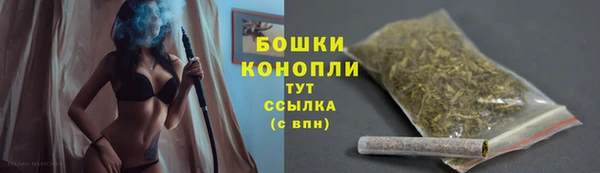 шишки Алексеевка