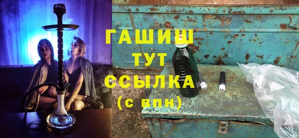 гашик Алексин