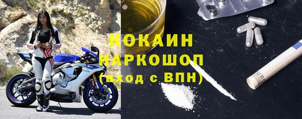 гашик Алексин
