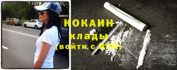 гашик Алексин