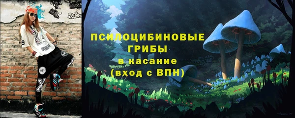 гидра Алзамай