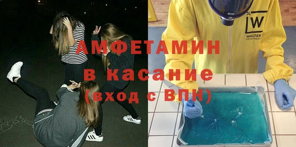 шишки Алексеевка