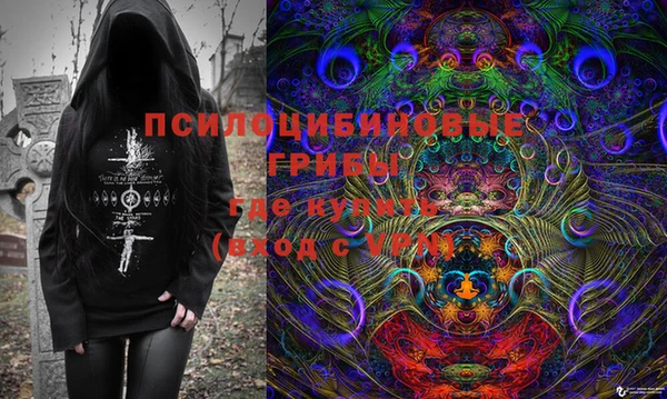 гашик Алексин