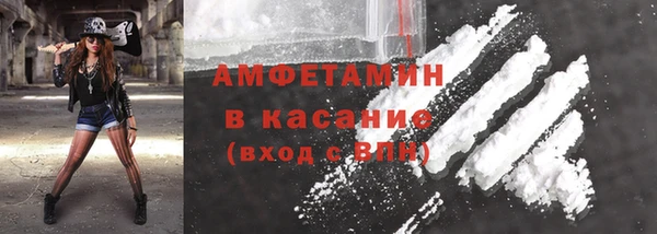 гашик Алексин