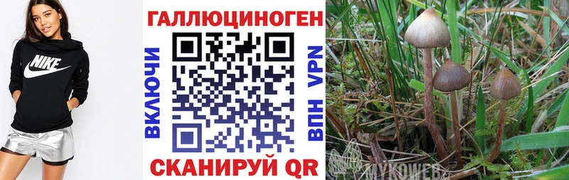 Псилоцибиновые грибы ЛСД  Зверево 